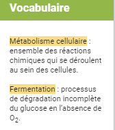 doc vocabulaire